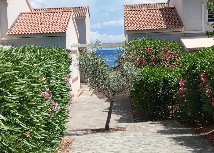 Climatisee A Nuciola Prunete Entre Mer, Montagne Et Piscine * Cervione