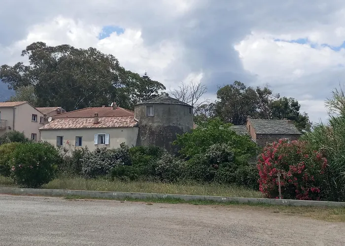 Climatisee A Nuciola Prunete Entre Mer, Montagne Et Piscine *