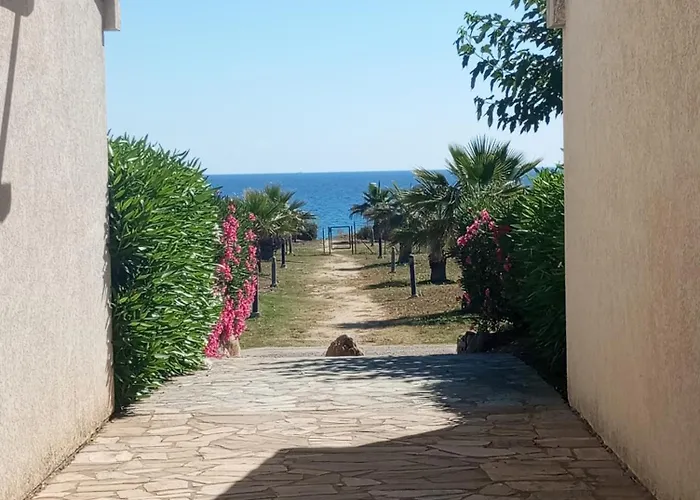 Climatisee A Nuciola Prunete Entre Mer, Montagne Et Piscine Ferienhaus Cervione
