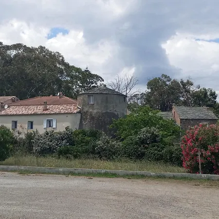 Climatisée A Nuciola Prunete Entre Mer, Montagne Et Piscine *