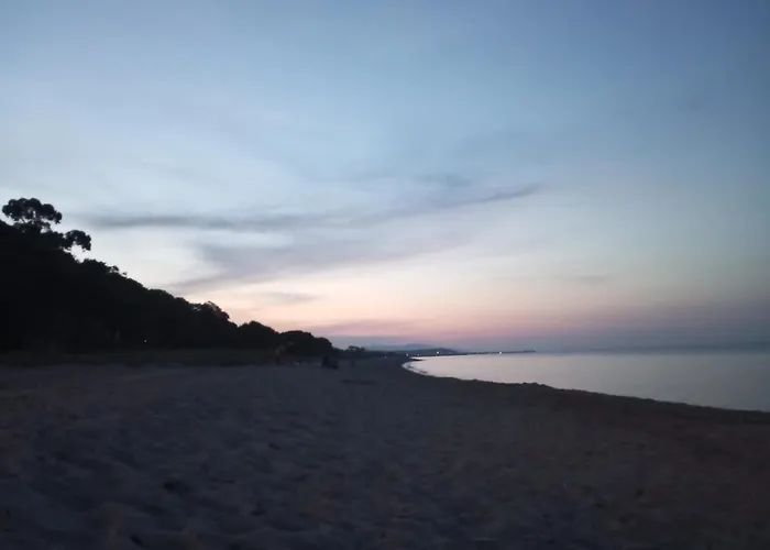Climatisee A Nuciola Prunete Entre Mer, Montagne Et Piscine Cervione